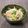り～たん。's cooksnap of when they made 塩クラゲとカイワレの中華合え.