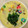 あい♪らんど's cooksnap of when they made 菜の花と花麩の彩り茶碗蒸し.