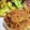 ak0ak0's cooksnap of when they made 鶏もも肉で簡単ステーキ！　オニオンソース.
