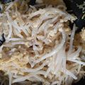 ひま母's cooksnap of when they made もやし卵炒め*簡単もう一品.