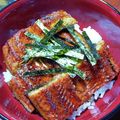 ムーミン☆ママ's cooksnap of when they made 市販の鰻をふっくら鰻に‼.