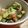 まさきともかママ's cooksnap of when they made ハワイ料理 「アヒポケ」.