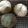 ぷぷぷりぷりぷりこ's cooksnap of when they made ドライフルーツとナッツのパン.