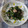 violets's cooksnap of when they made ソッコーで出来る副菜！コマツナツナ和え.