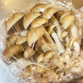 kisberry's cooksnap of when they made しめじ☆☆☆☆簡単冷凍保存☆解凍方法付き.