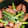 ｅｋ４'s cooksnap of when they made *アスパラとウインナー のマヨ炒め*.