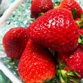 バウチャン's cooksnap of when they made いちごの洗い方.