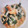 伊勢の赤福餅's cooksnap of when they made 新玉ねぎと厚揚げの味噌炒め.