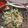 ✱Lily✱'s cooksnap of when they made 玉ねぎとかいわれのツナサラダ.