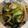 Koalamam's cooksnap of when they made 青梗菜のエスニック炒め『きのう何』102.