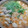 あんこだよ。's cooksnap of when they made 海鮮キムチ鍋.