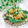 Satoco❋'s cooksnap of when they made 簡単！ささみと胡瓜と大根の中華風サラダ.