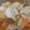 こばたす's cooksnap of when they made 簡単！入れて煮込むだけ！キムチ餃子鍋！.
