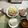 ニッシーマン's cooksnap of when they made パリパリ切り干し大根サラダ.