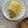  milkchoco's cooksnap of when they made 甘くないだし巻き卵焼き しらすと小ネギで.