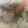 クックNM6TKB☆'s cooksnap of when they made 我が家のすいとん.