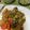 ぐりtoぐら's cooksnap of when they made 白菜と豆苗のナムル.