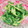 みっくママ's cooksnap of when they made 簡単～菜の花漬け.