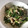 さゆゆゆこ's cooksnap of when they made おつまみに！ささみのオイスターねぎまみれ.