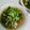 ひびっつ's cooksnap of when they made ニラ玉炒めのオイスターソースあんかけ.