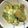 120615's cooksnap of when they made ちくわの磯辺揚げ (油少なめ).