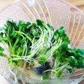 青森在住's cooksnap of when they made 鯖缶アレンジ.