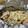 みやこっちっち's cooksnap of when they made 旬を食べよう！鮭のホイル蒸し.