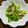 norikeiママ's cooksnap of when they made 山東菜とシイタケのほっとする炒めもの.