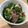 はらぺこままゆ's cooksnap of when they made たことブロッコリーのおかかマヨ和え.