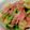 smilemama7's cooksnap of when they made アスパラベーコンポテト.