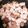 ♬あじさいのレシピ♬'s cooksnap of when they made 簡単！豆腐と玉ねぎの甘辛炒め.