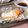 ハネちゃんのレシピ's cooksnap of when they made 白身魚の酒蒸し（レンジで簡単）.