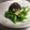 のんた＆きなこ's cooksnap of when they made なばなと油揚げの煮物.