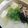 みっちゃん❇️68's cooksnap of when they made 豆腐・わかめタップリみぞれ鍋.