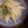 クック0RO5FM☆'s cooksnap of when they made 超シャキシャキ!千切りじゃがいも四川炒め.
