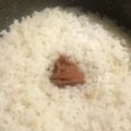 Yokchina's cooksnap of when they made 梅干しを炊飯器にポーン！梅ごはん♬.