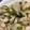 クックZL44R2☆'s cooksnap of when they made かぶとささみのヘルシー梅炒め.