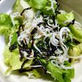 きつねどんべい's cooksnap of when they made パパっと5分で　レタスと塩昆布のサラダ.
