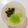 クック6U7INU☆'s cooksnap of when they made 【離乳食中期・後期】レンジで大根.