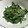 みりん調味料's cooksnap of when they made ニラの和え物♬.