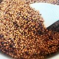 ぽぽりん's cooksnap of when they made 高きびの固め～柔らかめの炊き方.
