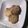 クックMVXCM0☆'s cooksnap of when they made さくさく☆ココナッツサブレ.