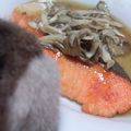 korakko's cooksnap of when they made 鮭のきのこあんかけ.