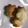 クックMVXCM0☆'s cooksnap of when they made ミルキーバターサンド・プチクッキー.