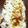 クック7FNN0F☆'s cooksnap of when they made 豚ミンチとトマト缶でミートドリア（豚肉）.