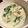 °＊このは＊°'s cooksnap of when they made 鮭とほうれん草の豆乳クリームシチュー.