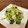 U_Uumi☆'s cooksnap of when they made 作りおきに＊セロリとささみの梅こんぶ和え.