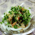 Aromaねね♡'s cooksnap of when they made 簡単おつまみ♪鯖と新玉ねぎのラーぽんがけ.
