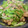 アークマミ's cooksnap of when they made 簡単♪鶏肉とキャベツの炒め.