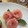 taiyodomi's cooksnap of when they made 花おつまみ♡生ハムとクリチの薔薇♬簡単.